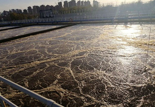 制香专用聚丙烯酰胺