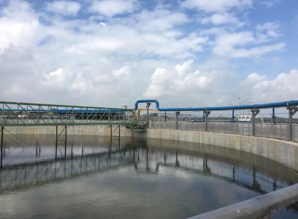 水处理养菌的技巧是什么